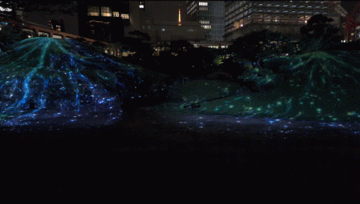画像に alt 属性が指定されていません。ファイル名: karetaki_real-1.gif